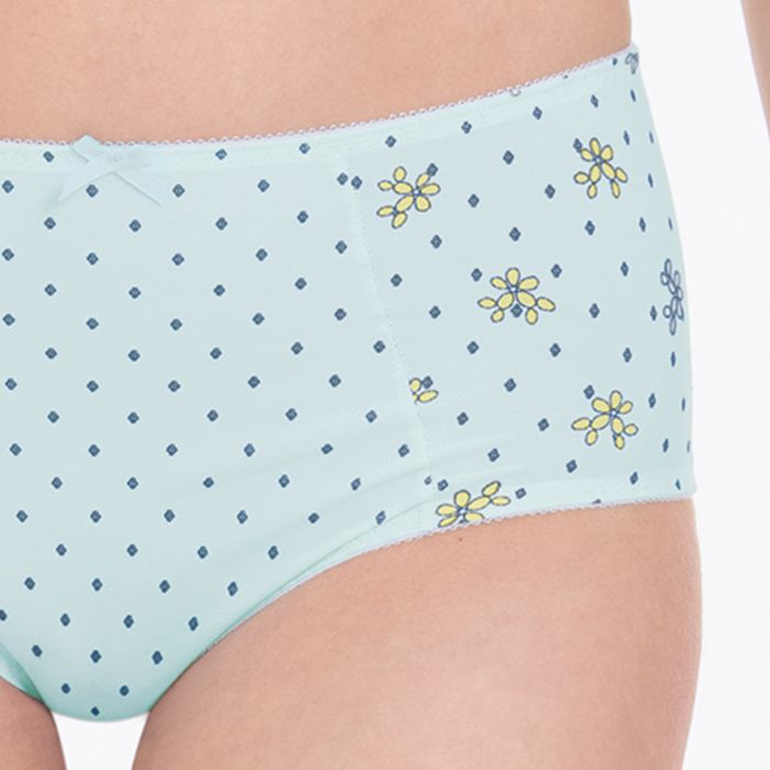 Anita Belvedere High-Waist Briefs+ (1387) Princess Blue