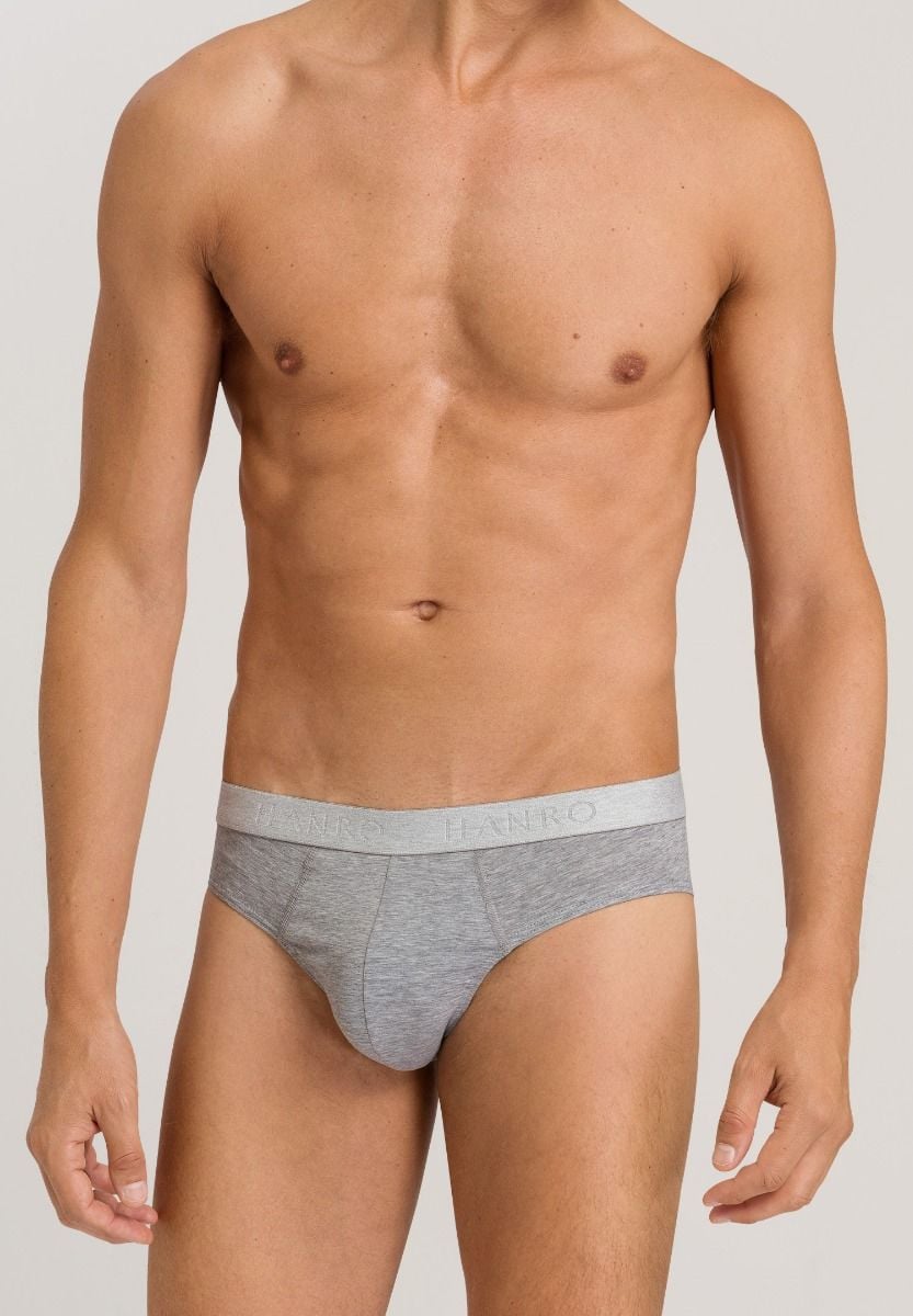 Hanro Basic Cotton Essentials Cotton Essentials Briefs 2Pack (073075) Light Melange