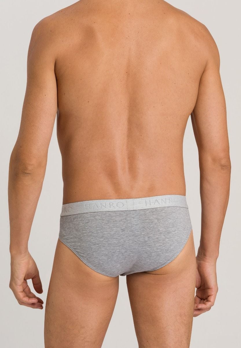 Hanro Basic Cotton Essentials Cotton Essentials Briefs 2Pack (073075) Light Melange