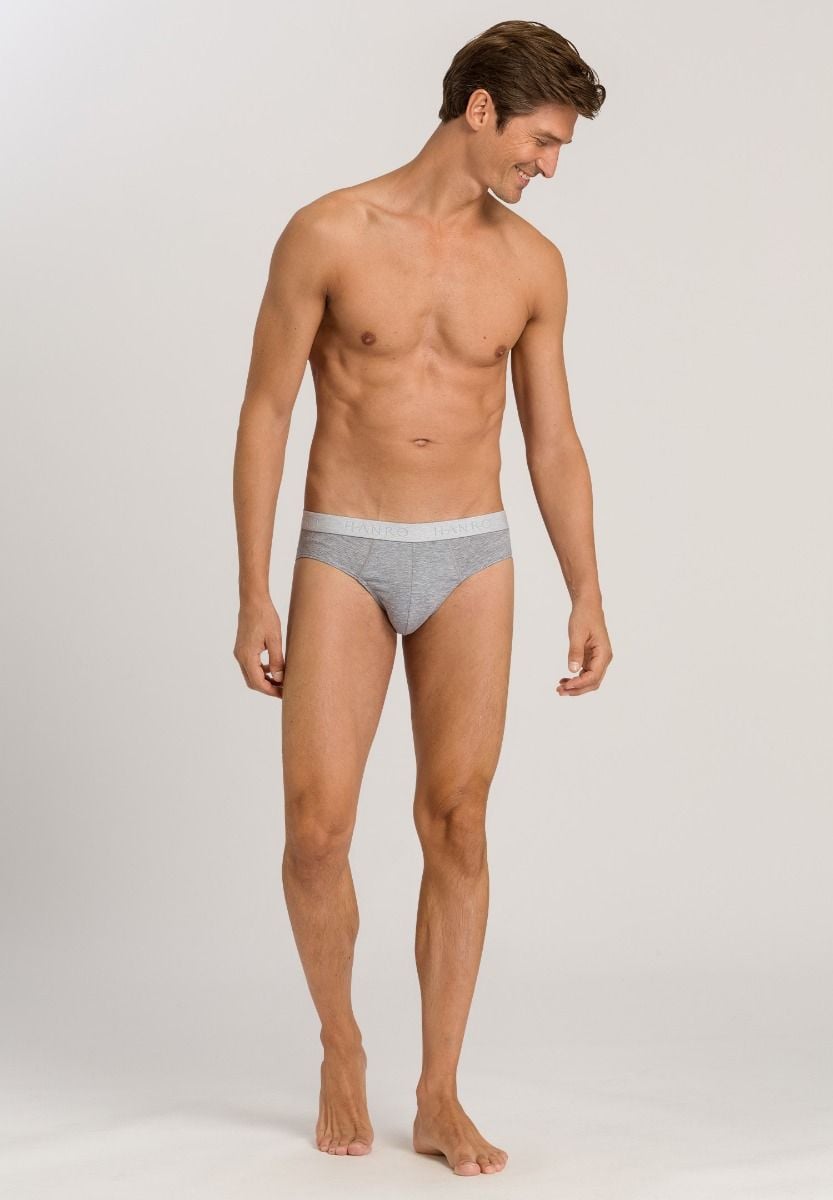 Hanro Basic Cotton Essentials Cotton Essentials Briefs 2Pack (073075) Light Melange