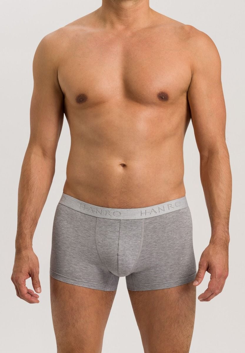 Hanro Basic Cotton Essentials Cotton Essentials Pants 2Pack (073078) Light Melange
