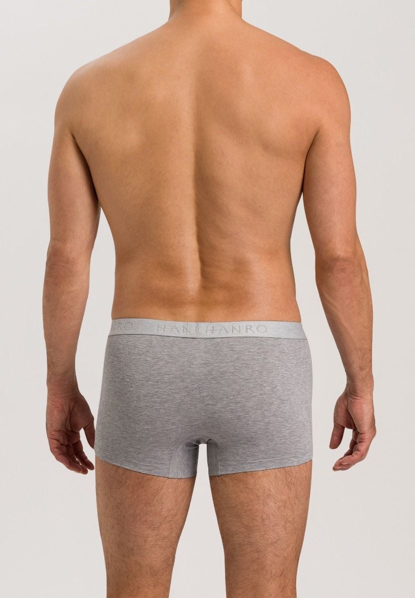 Hanro Basic Cotton Essentials Cotton Essentials Pants 2Pack (073078) Light Melange