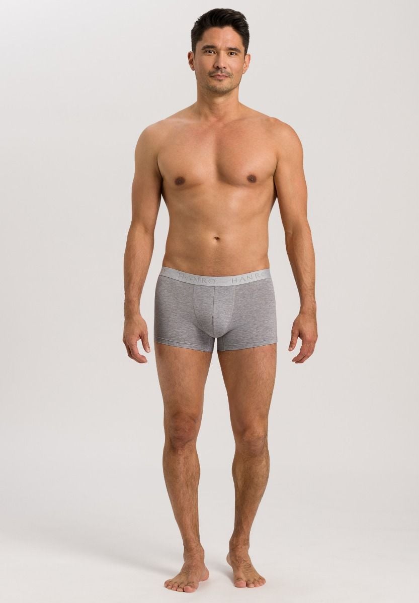 Hanro Basic Cotton Essentials Cotton Essentials Pants 2Pack (073078) Light Melange