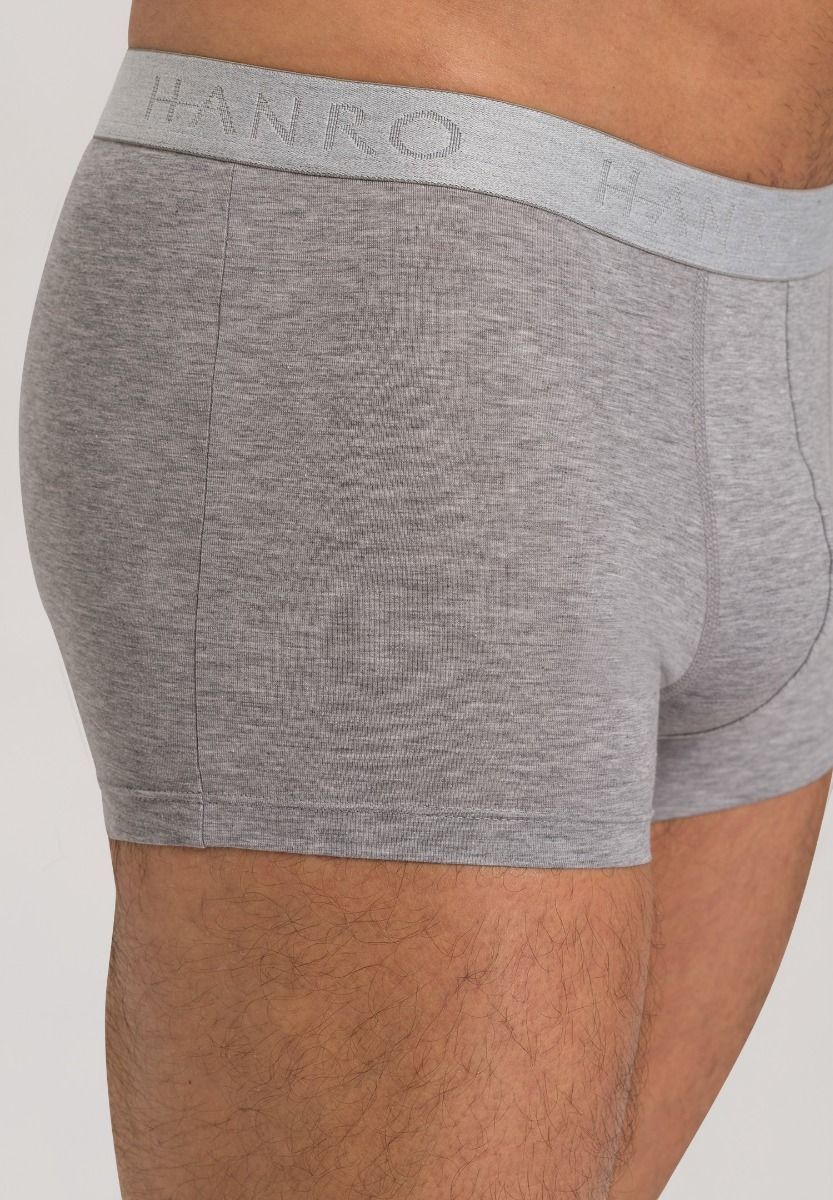 Hanro Basic Cotton Essentials Cotton Essentials Pants 2Pack (073078) Light Melange