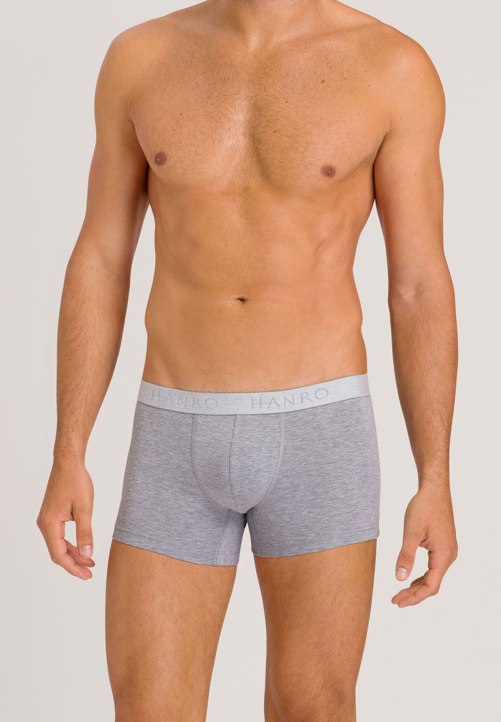 Hanro Basic Cotton Essentials Cotton Essentials Pants 2Pack (073078) Light Melange/Deep Navy
