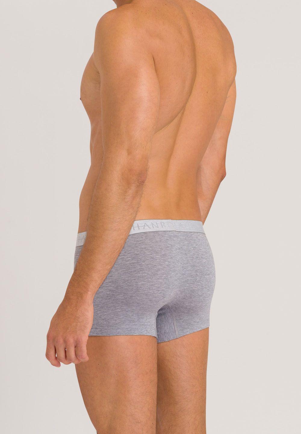 Hanro Basic Cotton Essentials Cotton Essentials Pants 2Pack (073078) Light Melange/Deep Navy