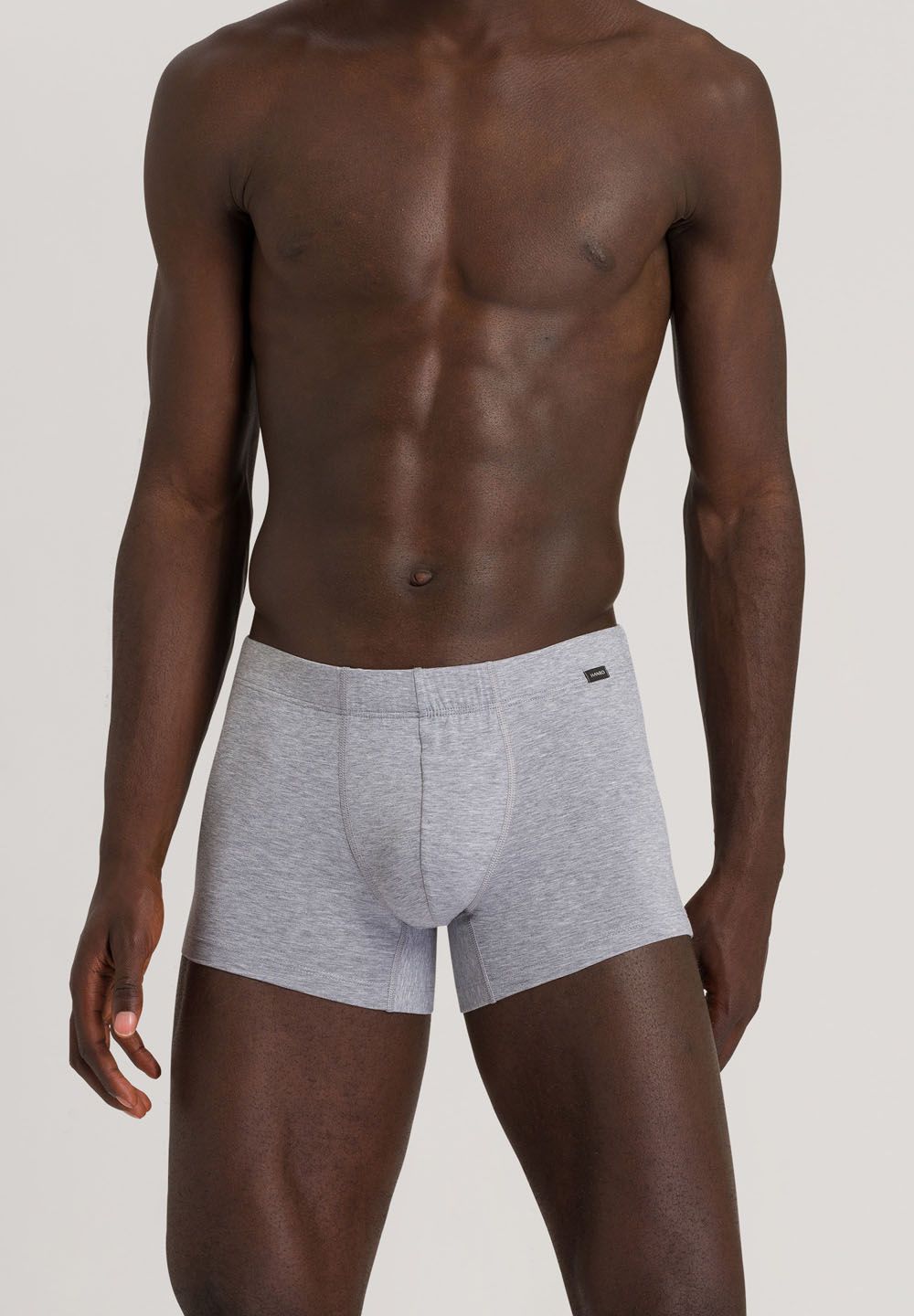 Hanro Basic Cotton Essentials Cotton Essentials Pants 2Pack (073079) Light Melange/Deep Navy