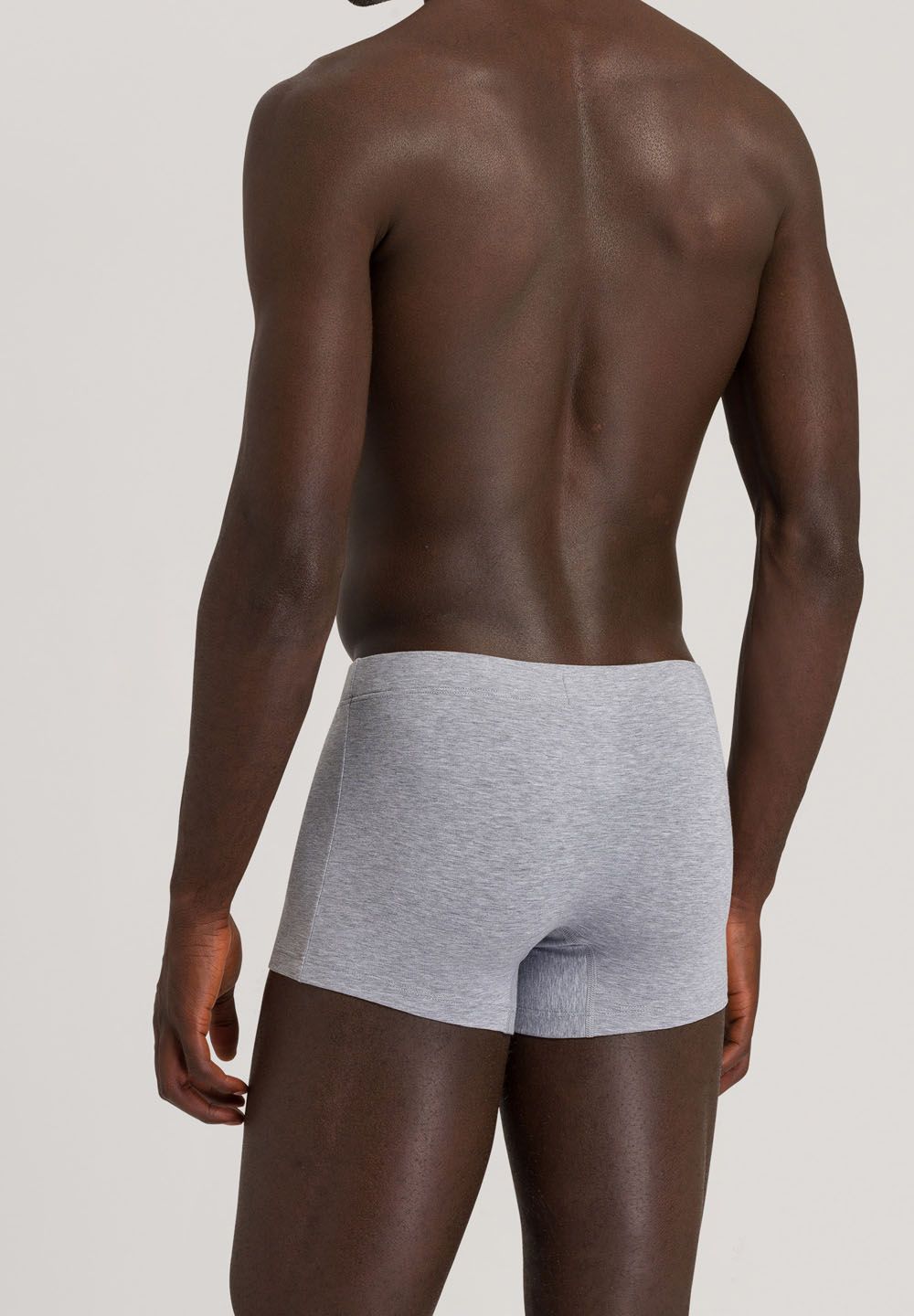 Hanro Basic Cotton Essentials Cotton Essentials Pants 2Pack (073079) Light Melange/Deep Navy