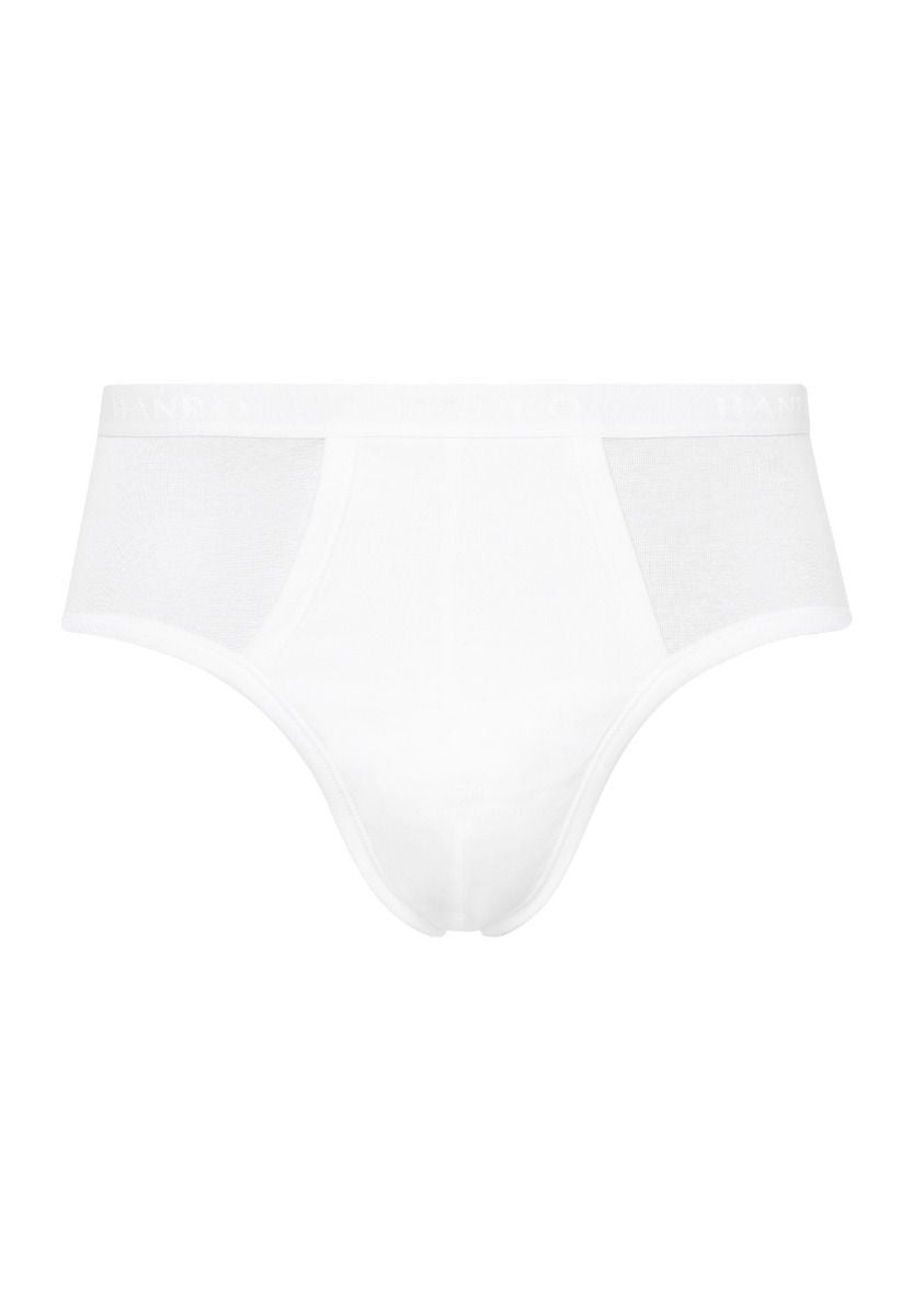 Hanro Basic Cotton Pure Cotton Pure Briefs With Fly (073631) White