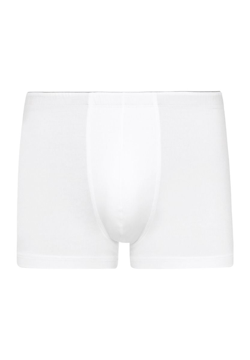 Hanro Basic Cotton Superior Cotton Superior Pants (073086) White