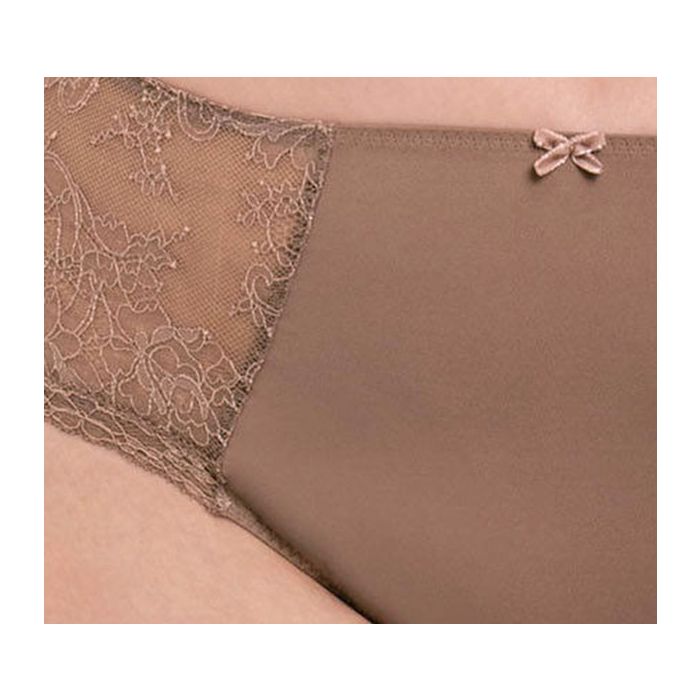Rosa Faia Abby High-Waist Briefs+ (1418) Rose