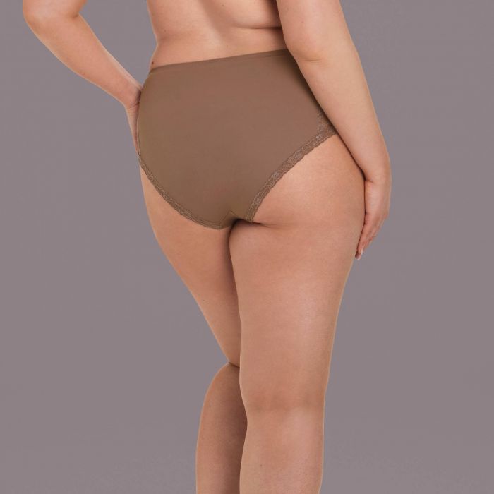 Rosa Faia Abby High-Waist Briefs+ (1418) Rose