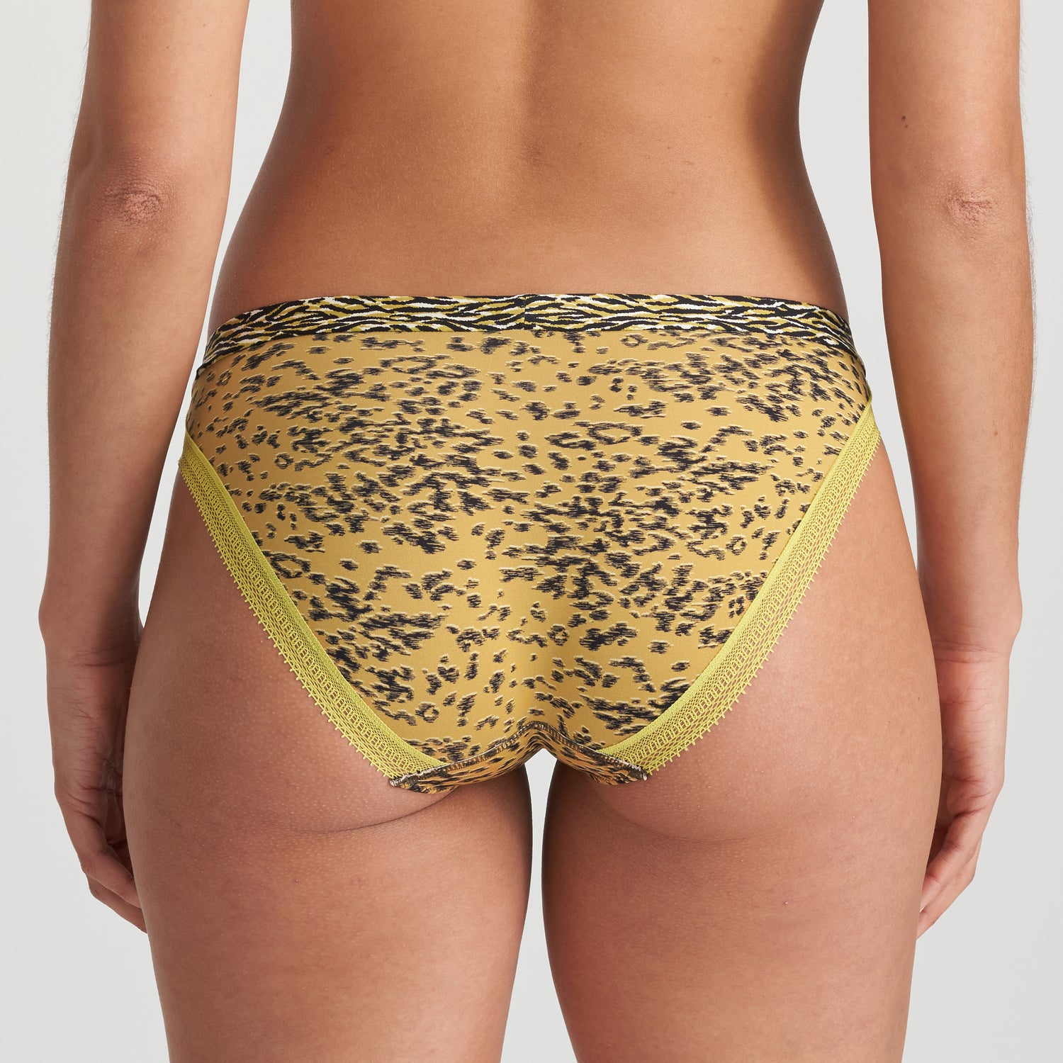 Marie Jo Rege Rio Briefs (0522260) Savannah