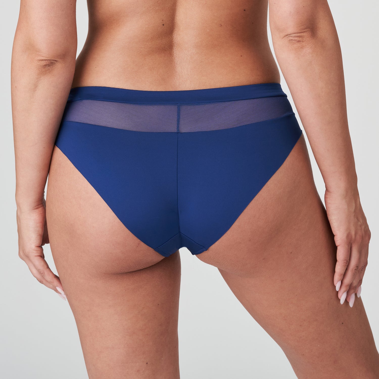 Primadonna Sophora Rio Briefs (0563180) Royal