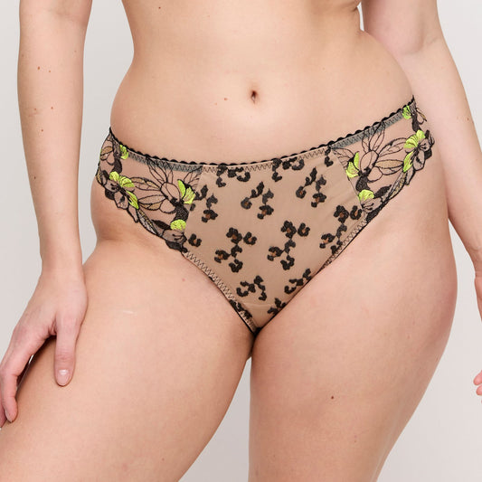 PrimaDonna Manali Rio Brief in Wild Bloom
