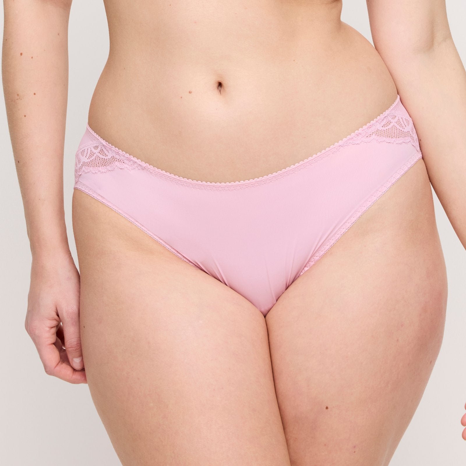 PrimaDonna Salerno Rio Brief in Spring Rose