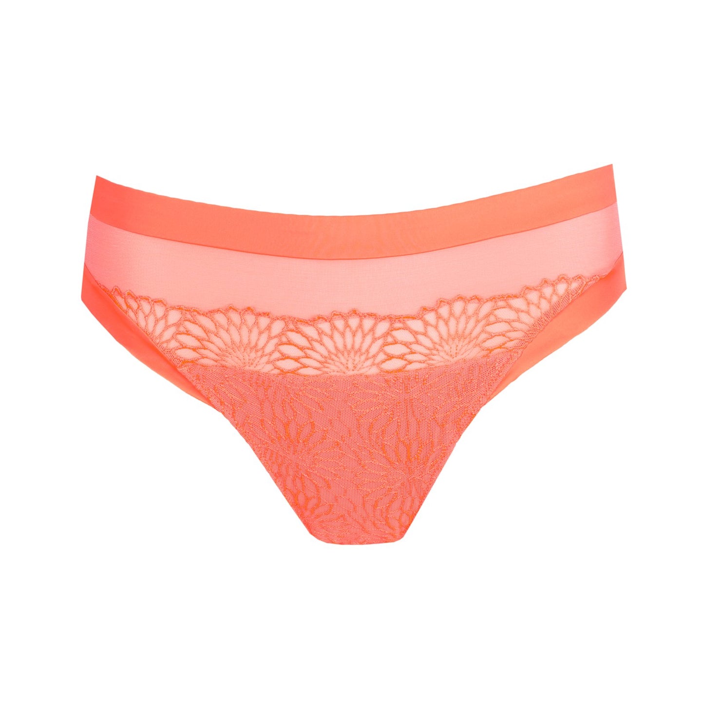 PrimaDonna Sophora Rio Brief flat lay in Spritz