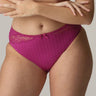 Fuchsia Fiesta