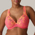 PrimaDonna Devdaha Padded Plunge Bra in Tropicana