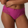 Fuchsia Fiesta