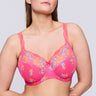 Blogger Pink