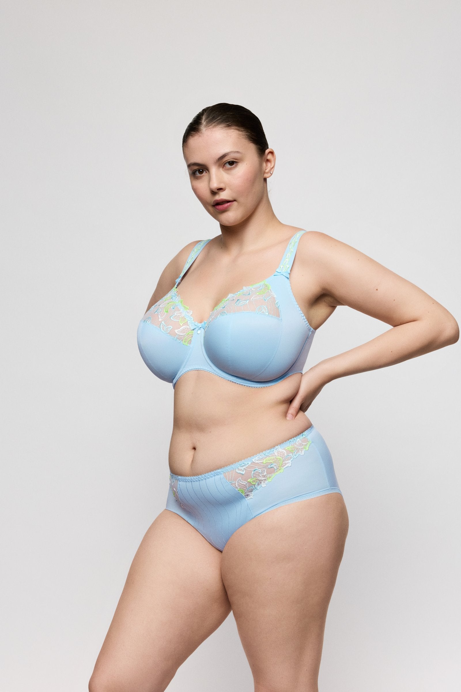 PrimaDonna Deauville Full Brief on model in Milky Blue