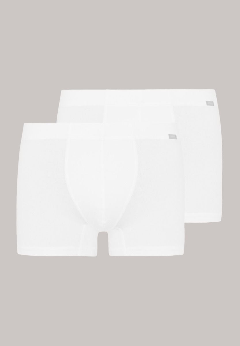 Hanro Basic Cotton Essentials Cotton Essentials Pants 2Pack (073079) White