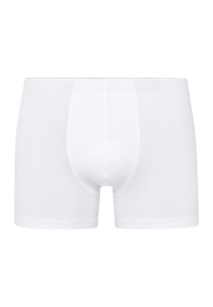 Hanro Basic Cotton Superior Cotton Superior Shortleg Pants (073090) White