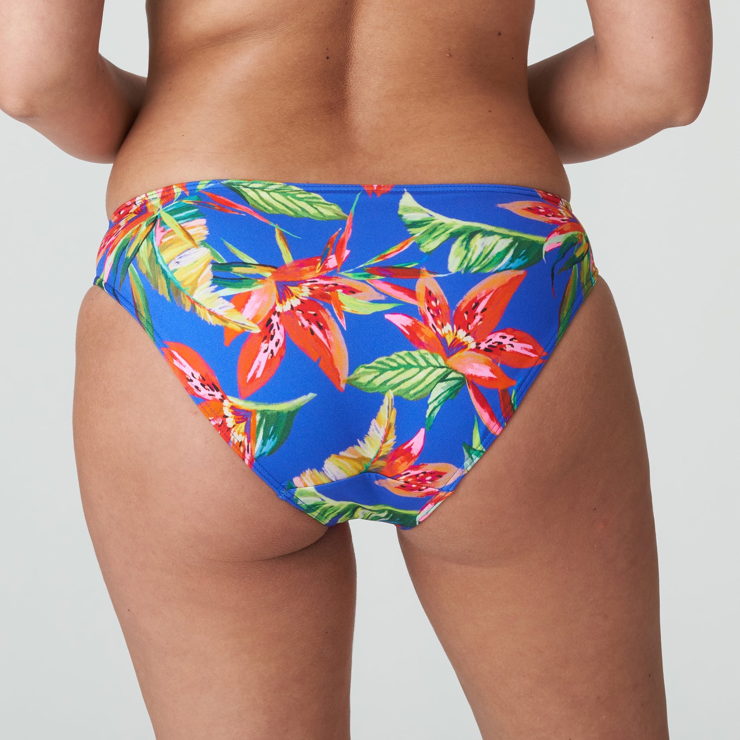 Primadonna Swim Latakia Bikini Briefs Rio (4011150) Tropical Rainforest