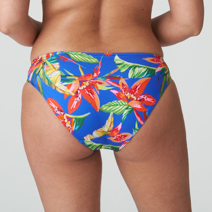 Primadonna Swim Latakia Bikini Briefs Rio (4011150) Tropical Rainforest