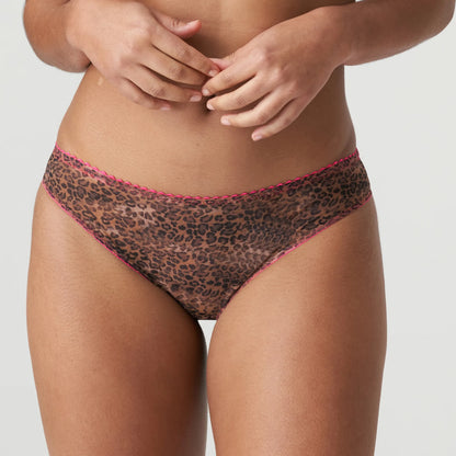 Primadonna Twist Cafe Plume Rio Briefs (0542170) Cheetah